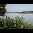 Blick über den Mekong auf die thailändische Seite